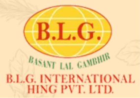 BLG International Hing PVT. LTD